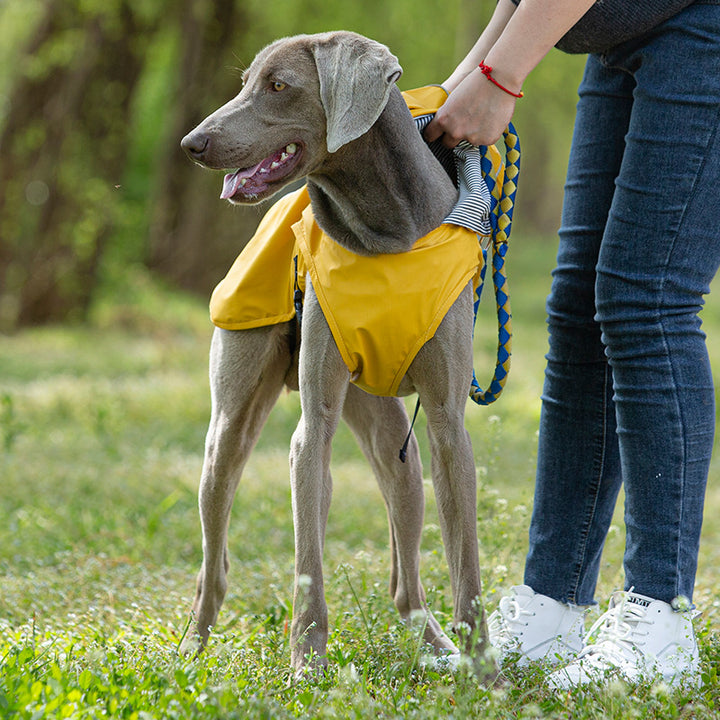Portable PU Pet Raincoat For Large Pets