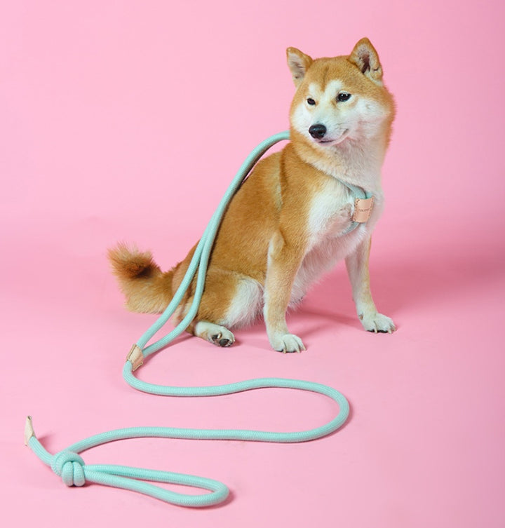 Dual Purpose Round Rope Pet Leash With Integrated Design