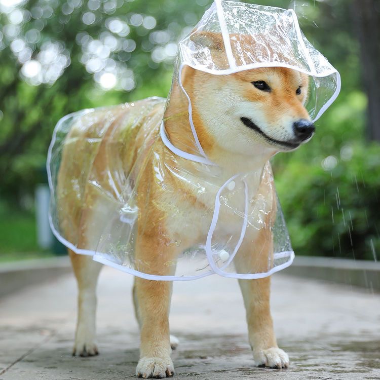 Transparent Pet Raincoat For Medium Large Pets