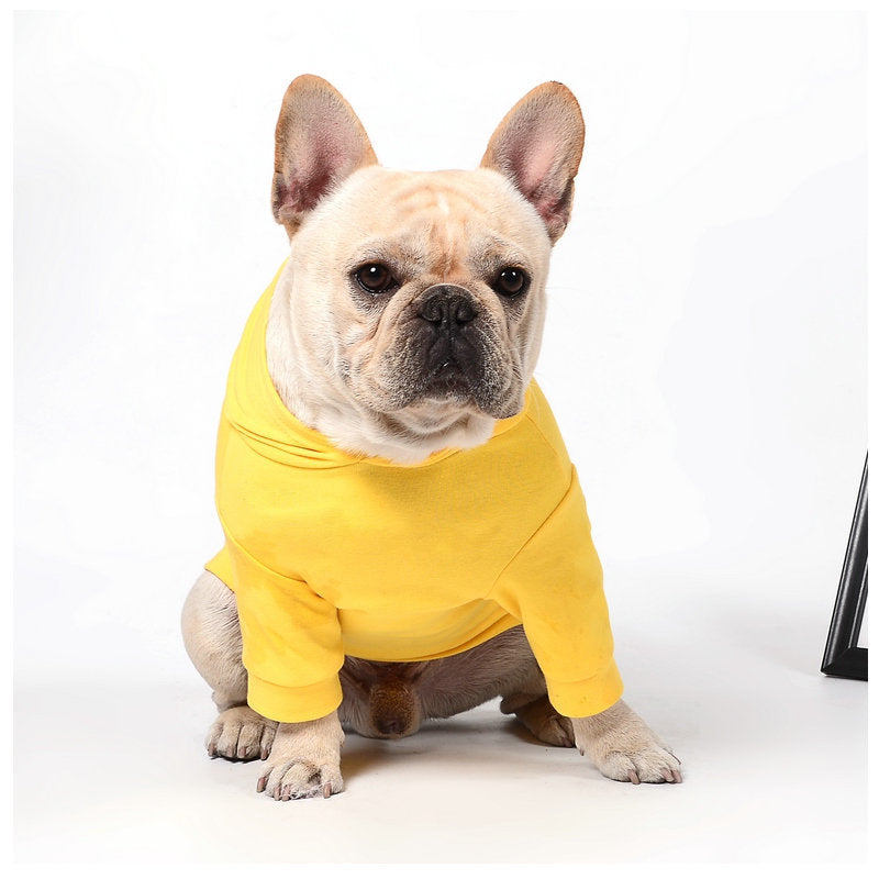 Pet Clothing Apparel For Everyday Comfort