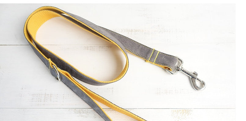 Medium To Large Pet Collar And Leash Set