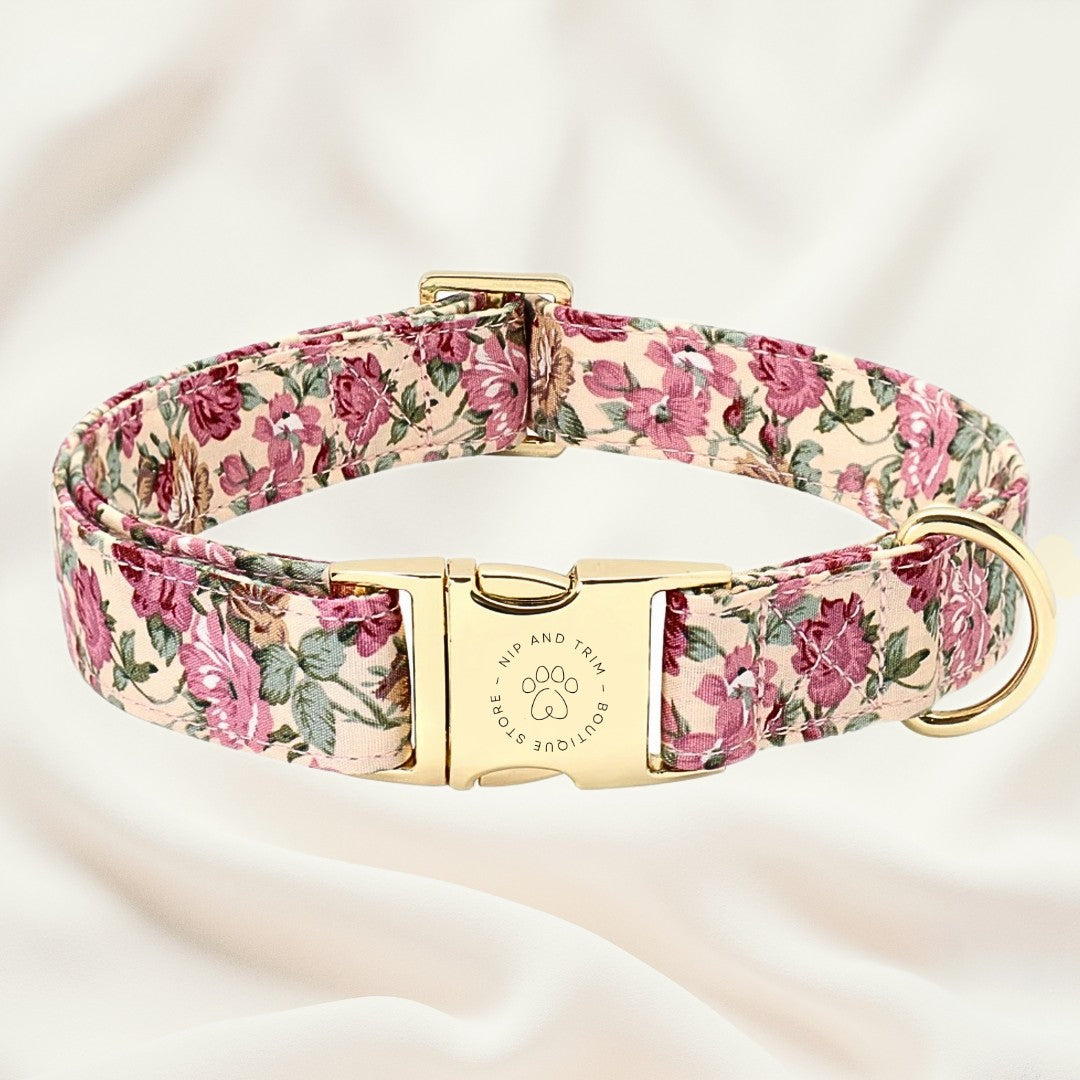 Custom Pet Collar With Engraved ID Tag And Lettering