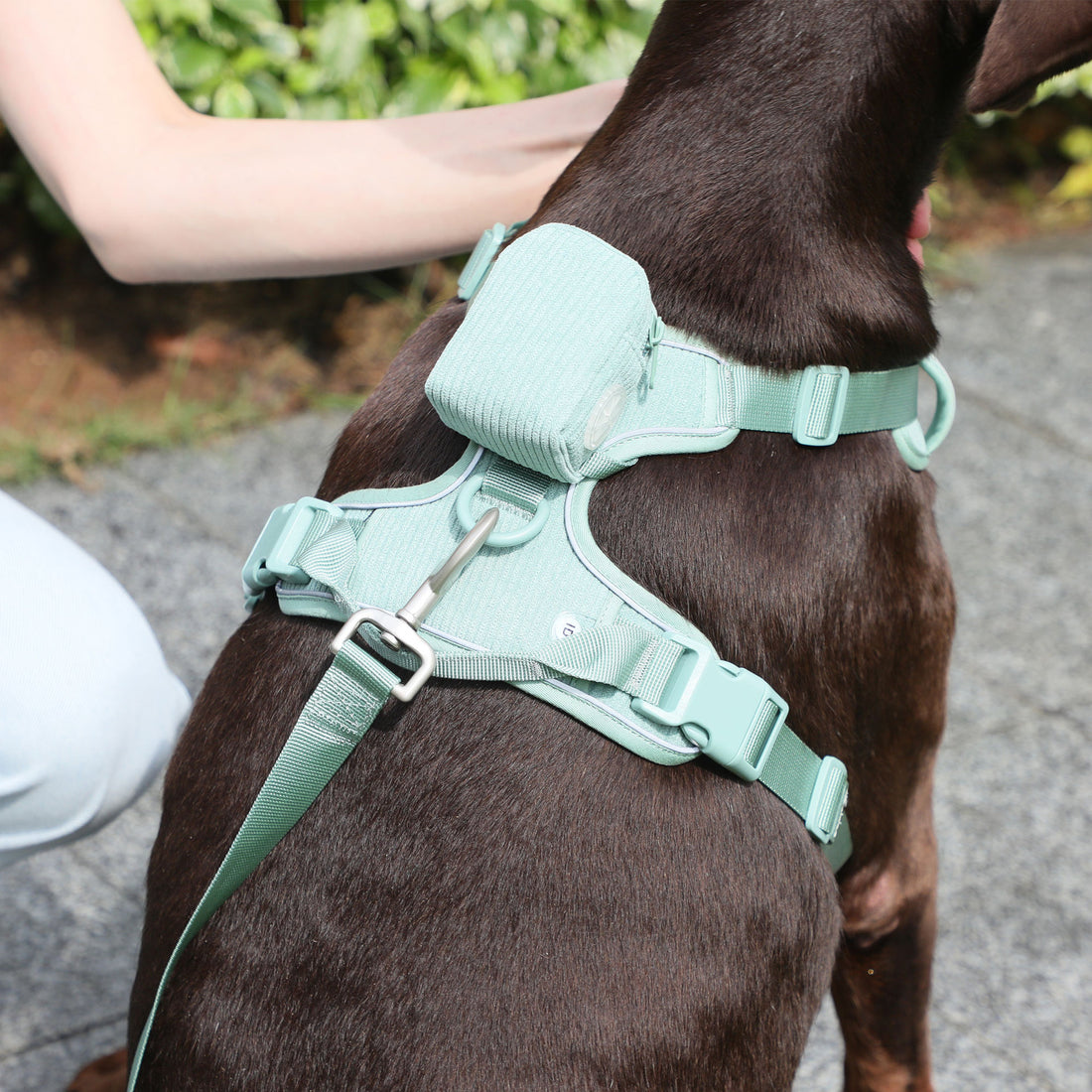 Heavy Duty Pet Harness With Collar And Leash Set