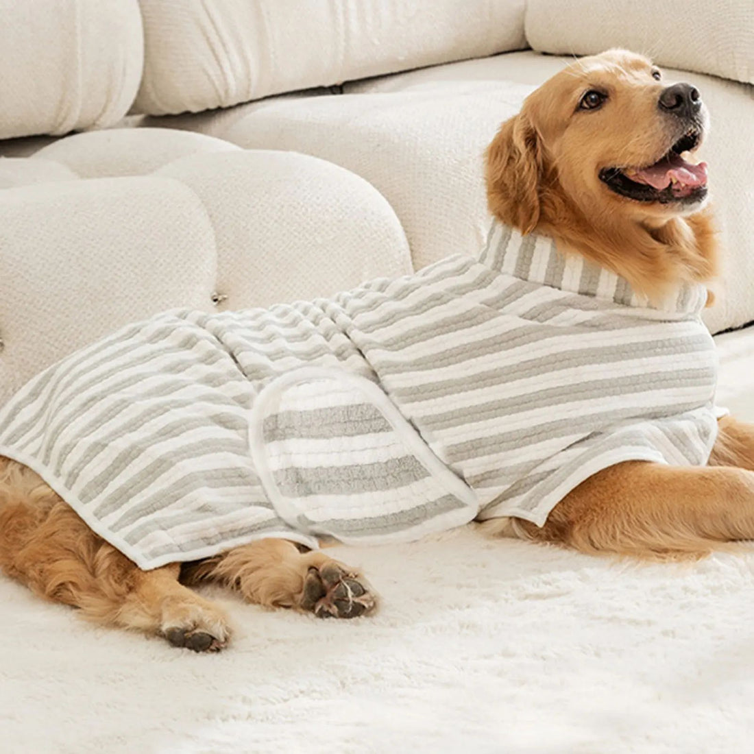Ultra-Absorbent Quick-Dry Pet Bath Towel Robe