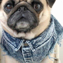 Washed Denim Pet Jacket Stylish And Comfortable Clothing