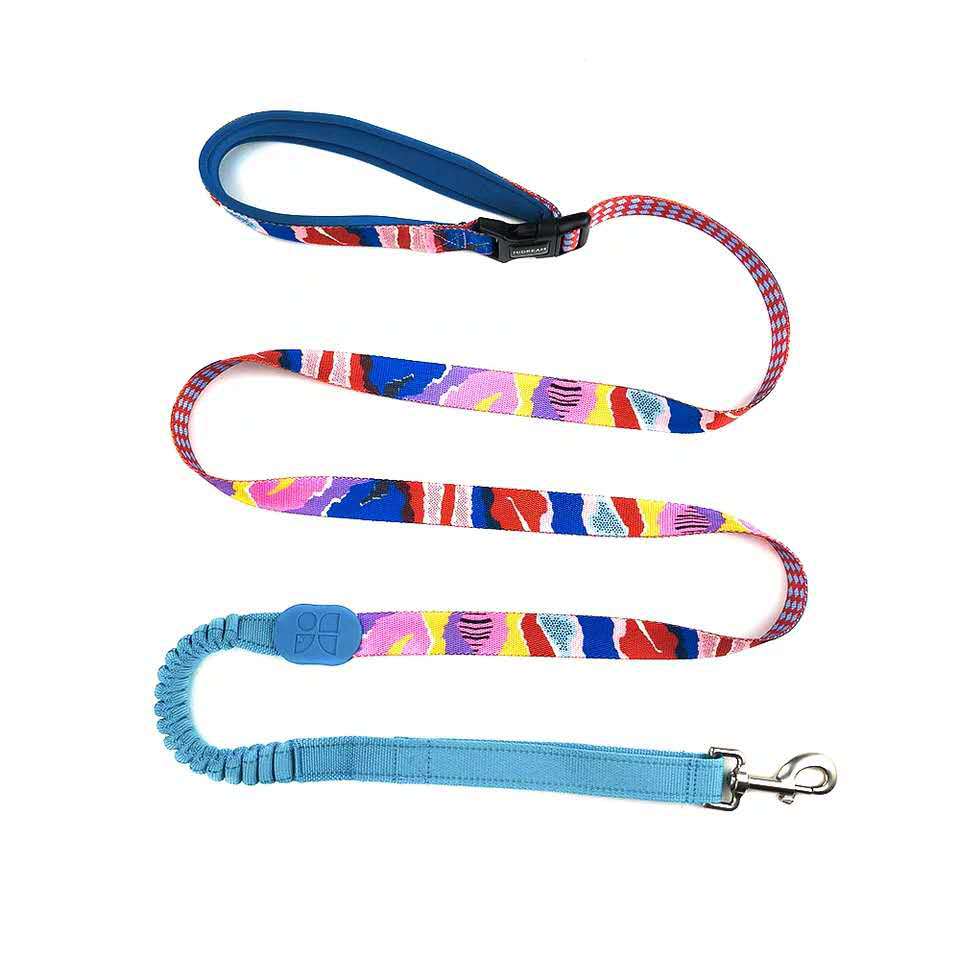 Multifunctional Shock Absorbing Pet Leash For Comfortable Walking