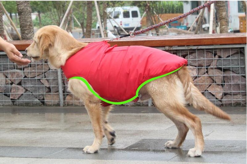 Winter Cotton Pet Coat Jacket