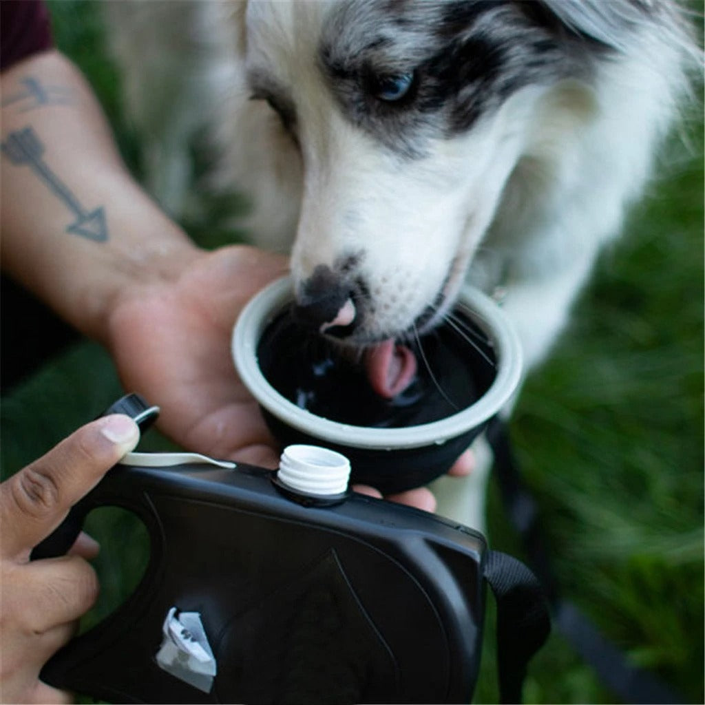 Pet Leash With Built In Waste Bag Dispenser