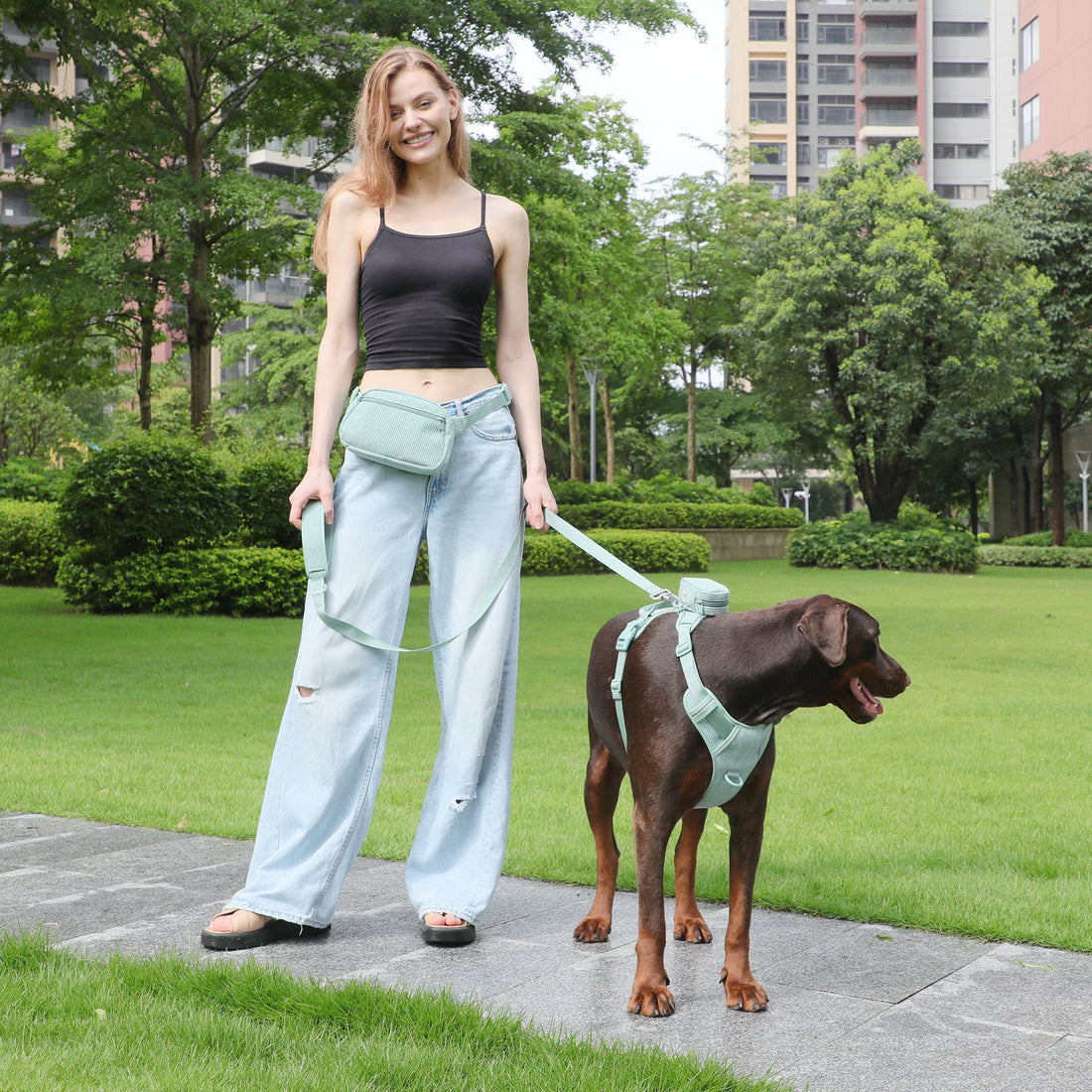 Heavy Duty Pet Harness With Collar And Leash Set