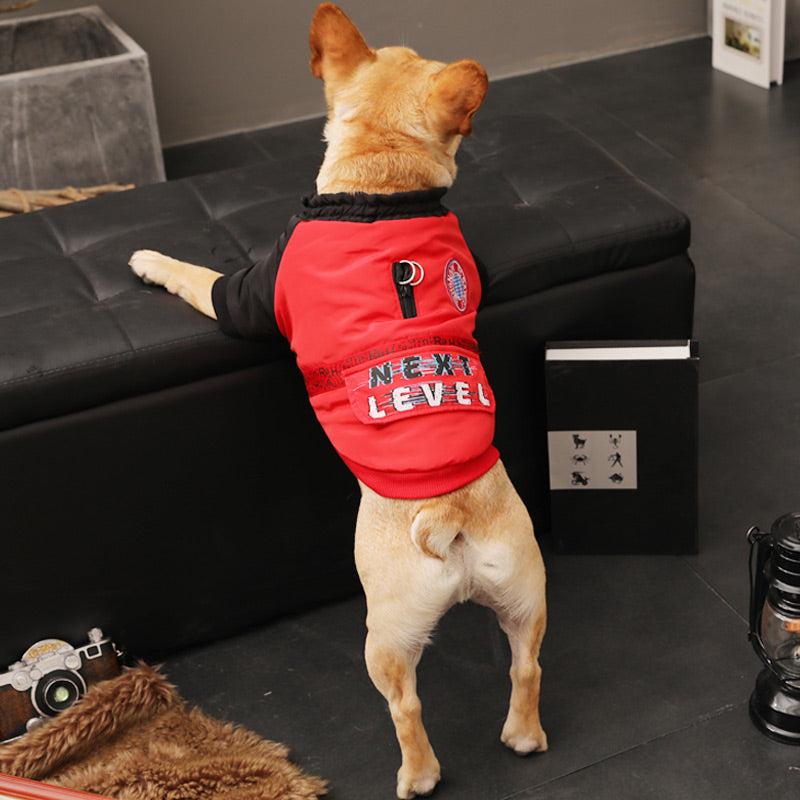 Warm Autumn Winter Pet Clothes For Small Pets