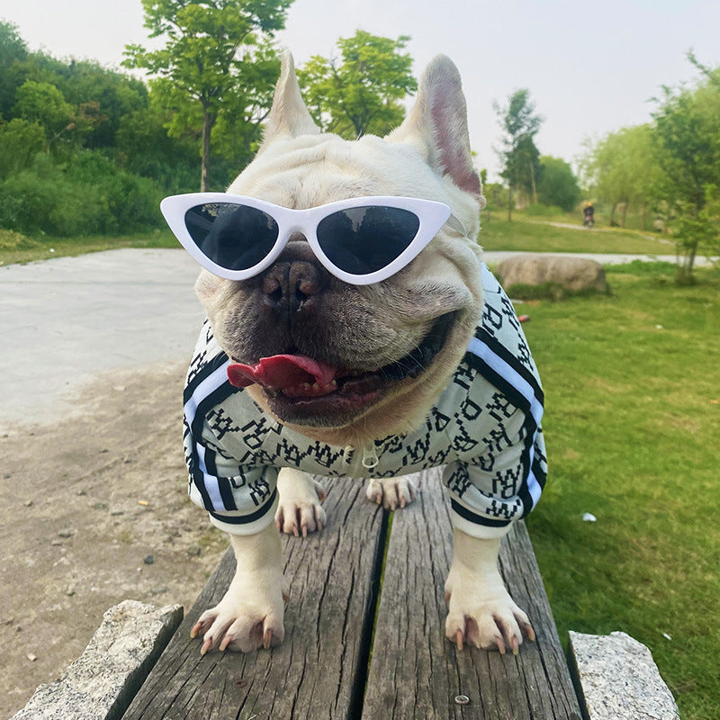 Zip-Up Stretchy Pet Jacket Clothes
