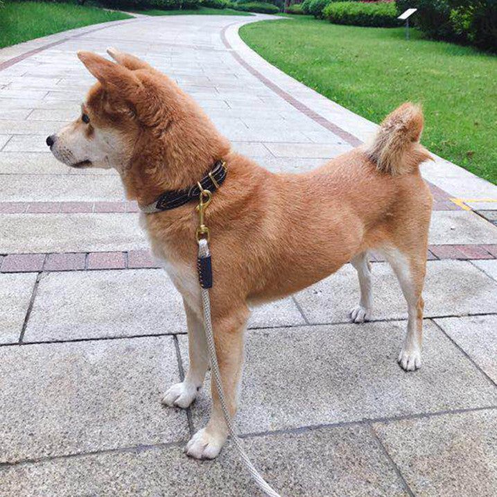 Cute Pet Leash For Small And Medium Pets
