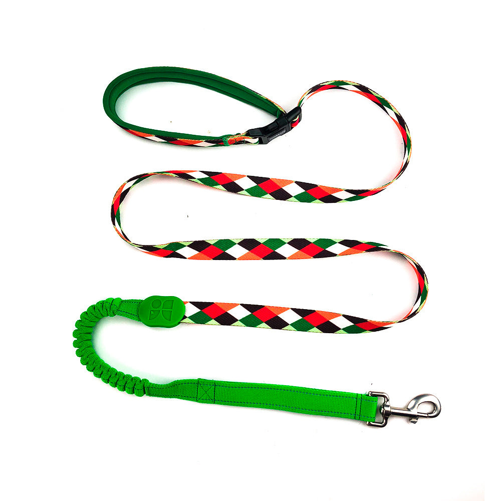 Multifunctional Shock Absorbing Pet Leash For Comfortable Walking