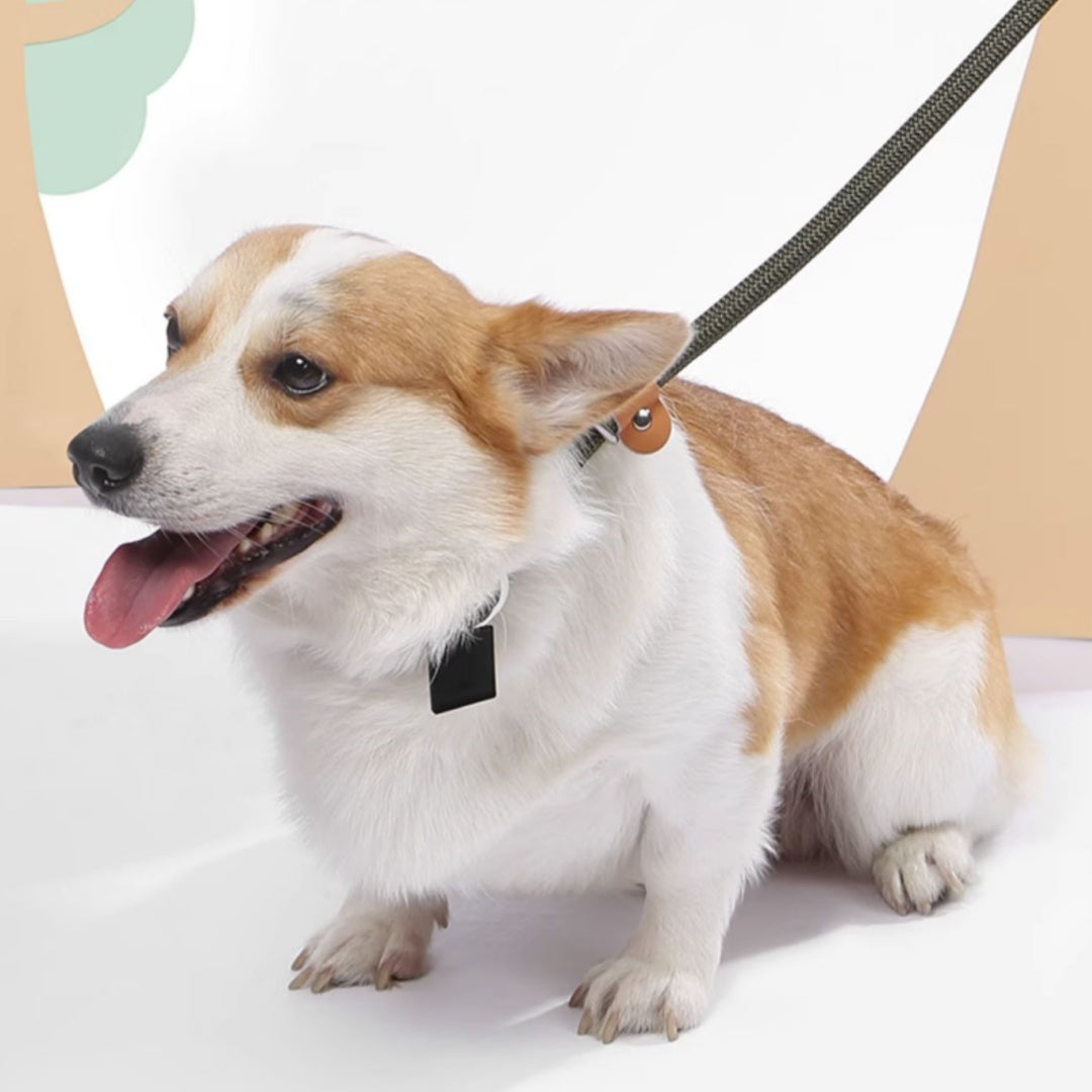 Heavy Duty Pet Leash For Small Medium And Large Pets