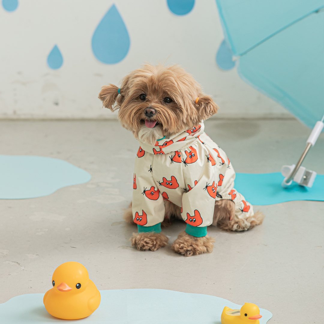 Fashion Waterproof All-Around Pet Raincoat