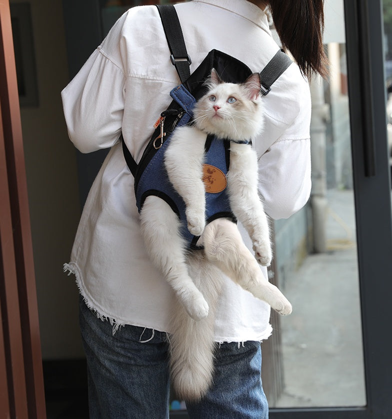 Portable Pet Backpack For Comfortable Spring Outdoor Outings