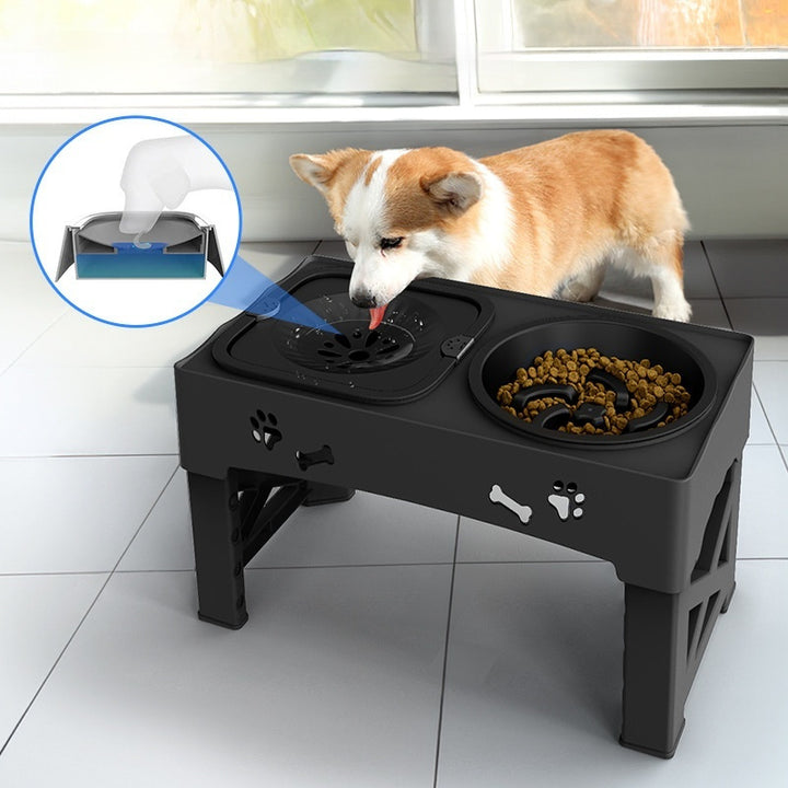 Elevated Double Stainless Steel Pet Feeder Bowl Set