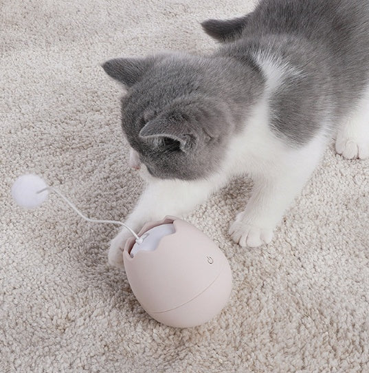 Funny Interactive Pet Toy Engaging Artifact Play Toy