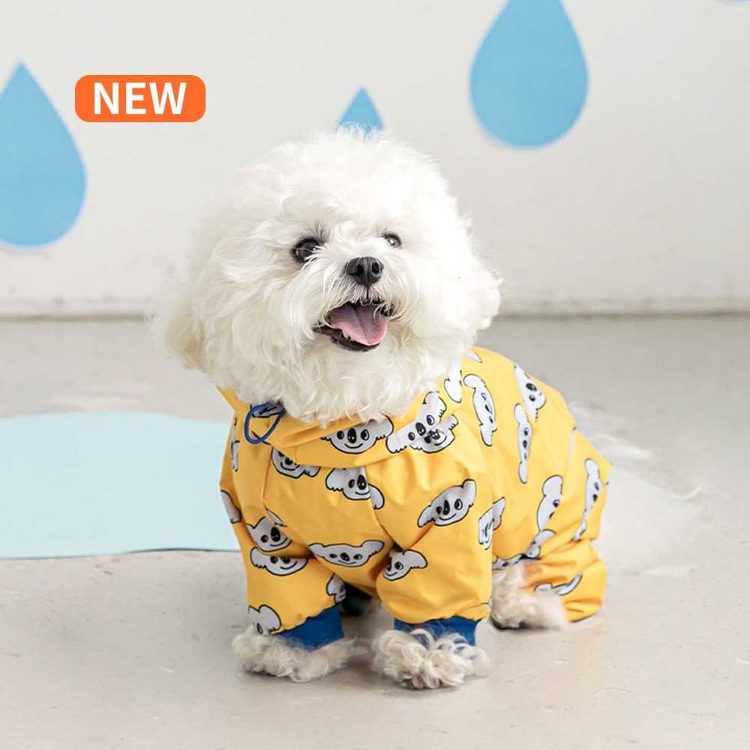 Fashion Waterproof All-Around Pet Raincoat
