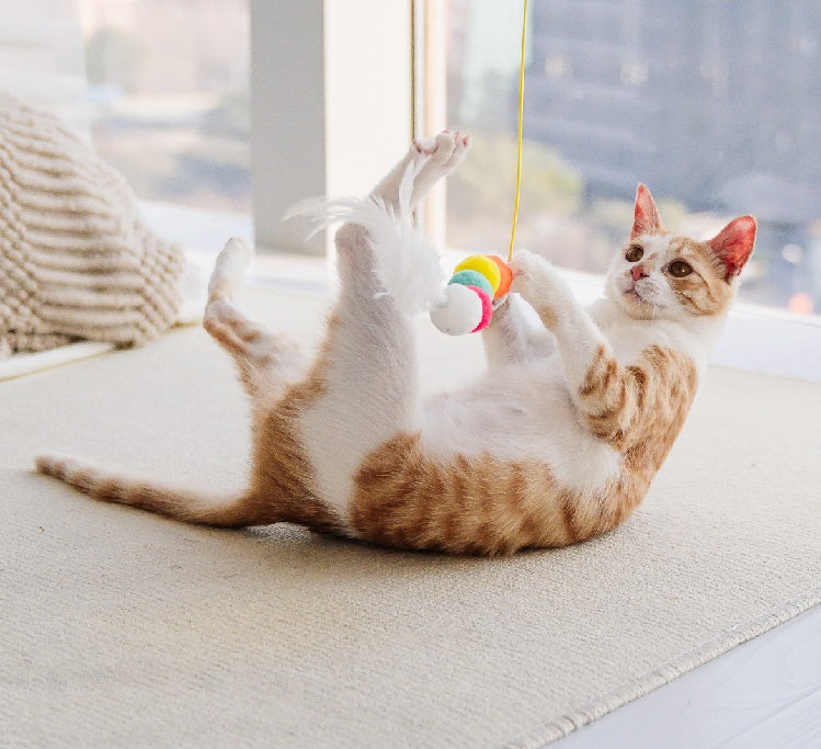 Interactive Pet Toy Telescopic Hanging Rope Grabbing Mouse