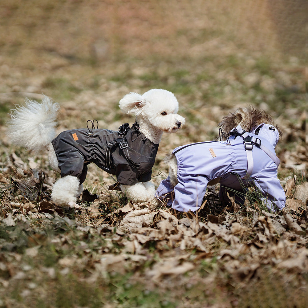 Fashion One-Piece Pet Raincoat