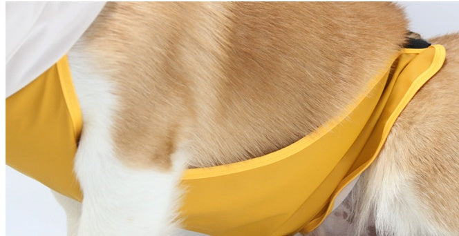 Transparent Brim Pet Raincoat With Bellyband