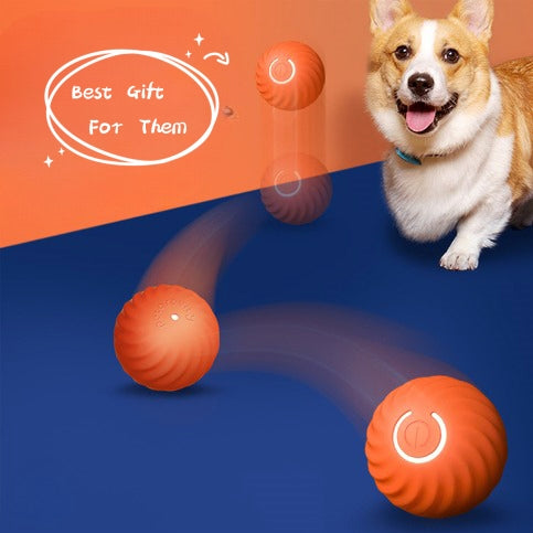 Durable Rubber Pet Ball Toy For Chewing And Training