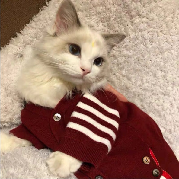 Pet Clothing Apparel For Everyday Comfort