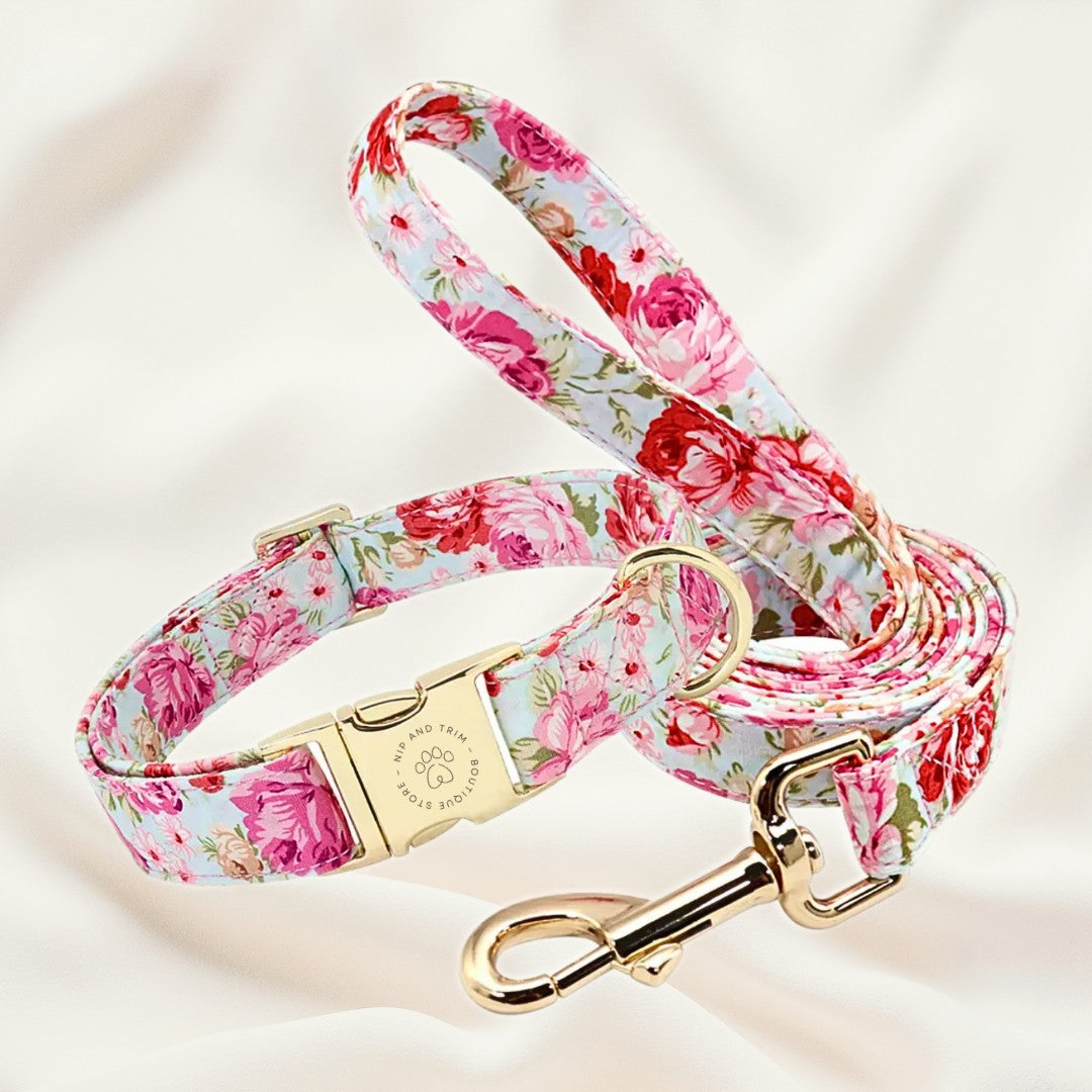 Custom Pet Collar With Engraved ID Tag And Lettering