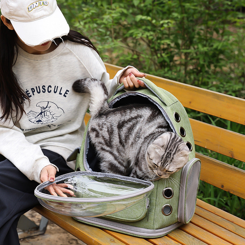 Transparent Portable Pet Backpack With Capsule Design