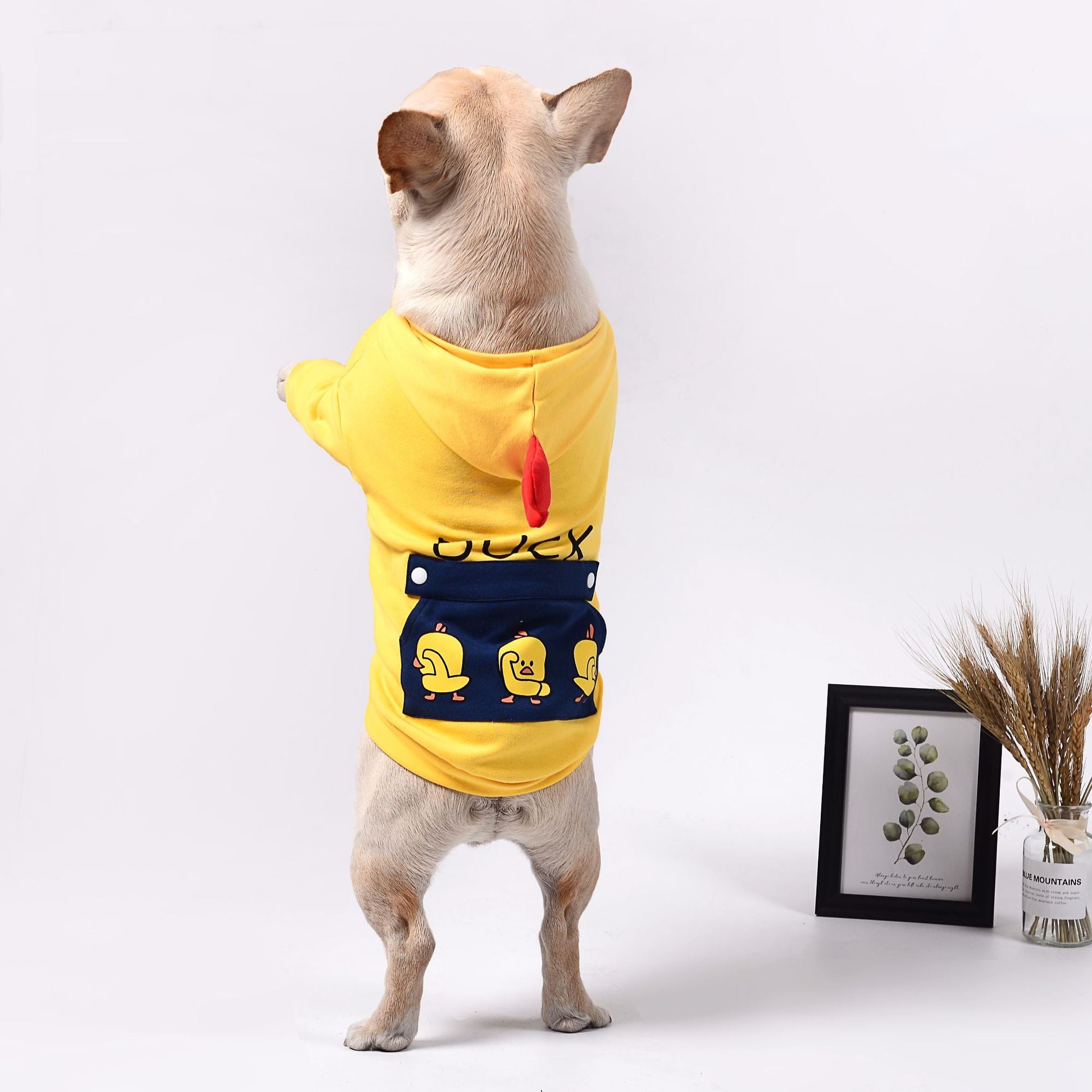 Pet Clothing Apparel For Everyday Comfort