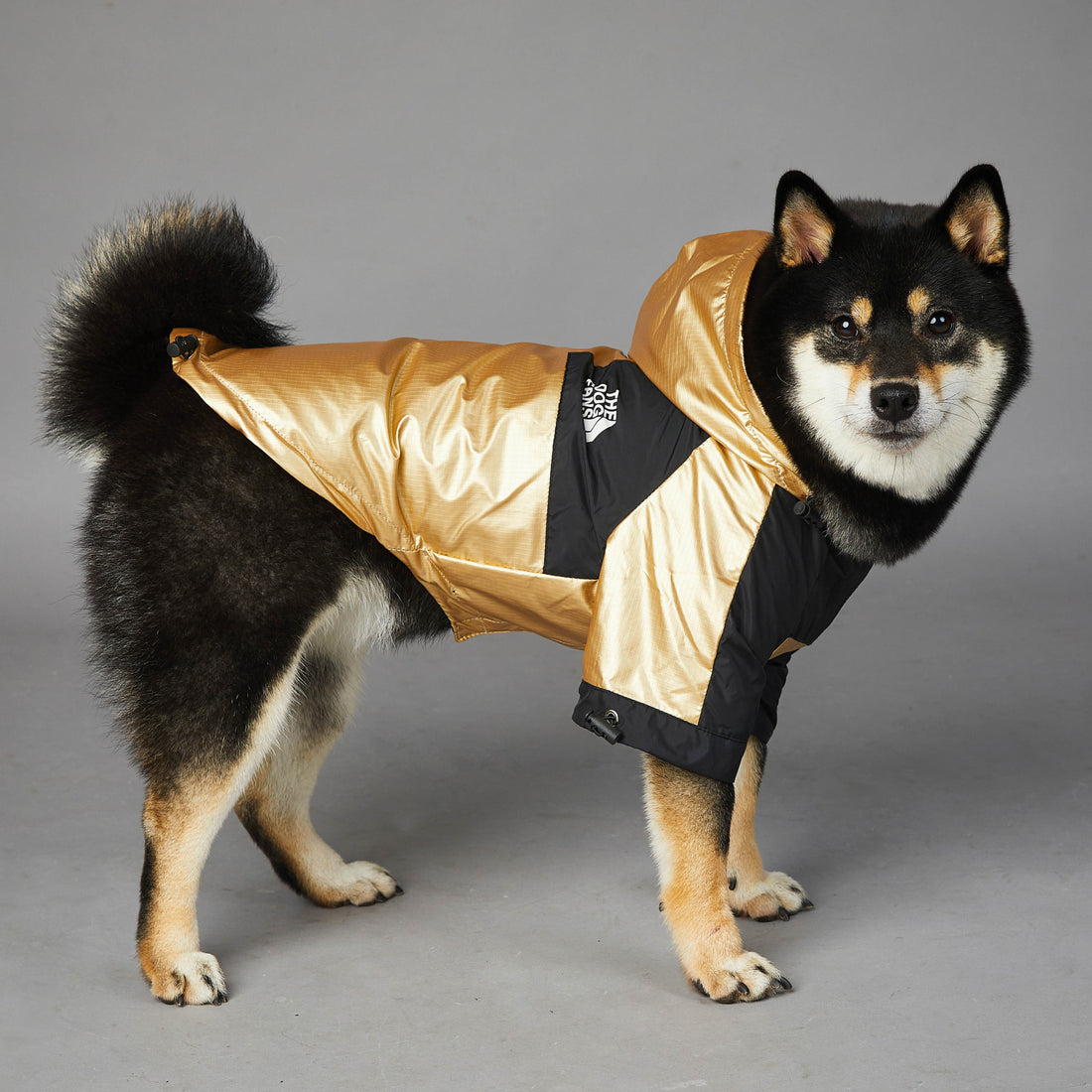 Large Size Pet Raincoat Jacket