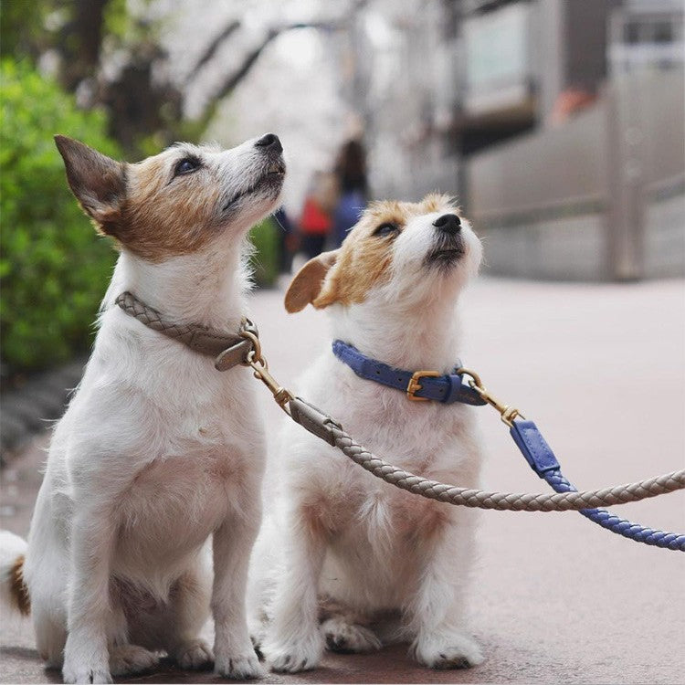 High End Durable Pet Collar For Strong And Large Pets
