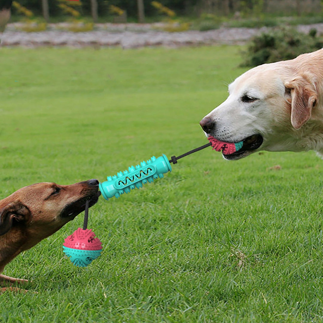 Durable Pet Chew Stick For Teeth Cleaning And Chewing