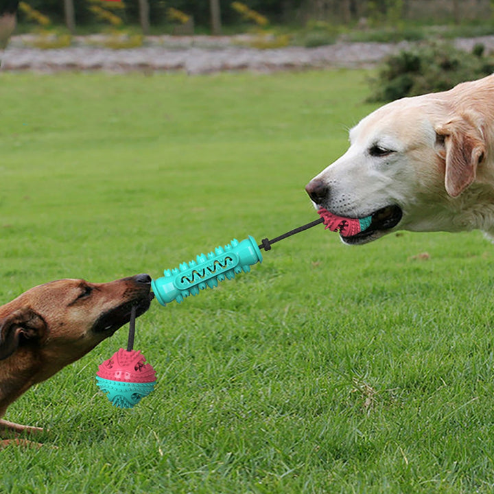 Durable Pet Chew Stick For Teeth Cleaning And Chewing