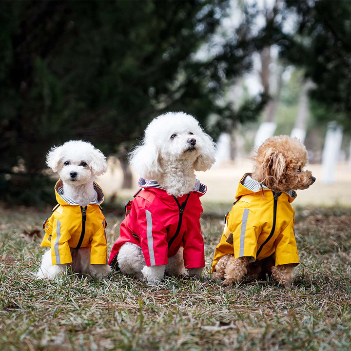 British Style Waterproof Pet Raincoat