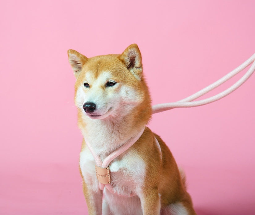 Dual Purpose Round Rope Pet Leash With Integrated Design