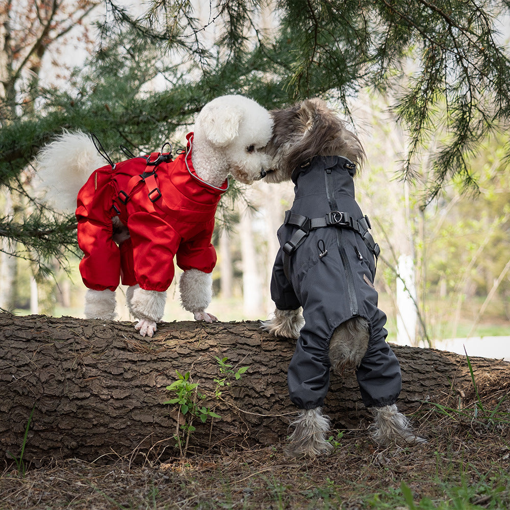 Fashion One-Piece Pet Raincoat