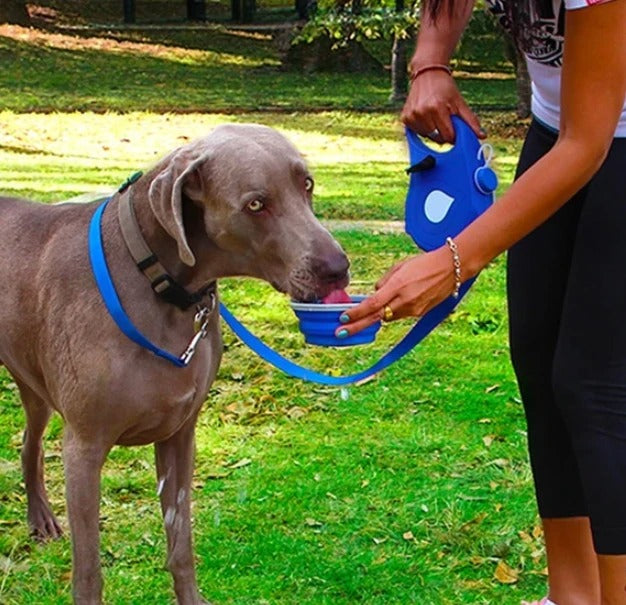 Pet Leash With Built In Waste Bag Dispenser