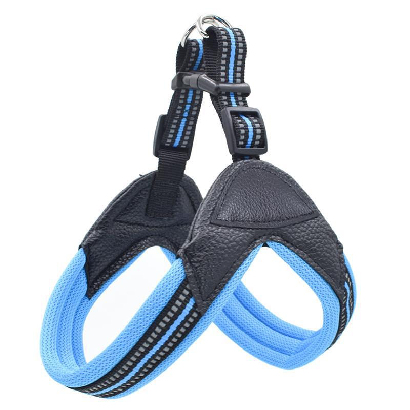 Pet Chest Harness And Leash Traction Set