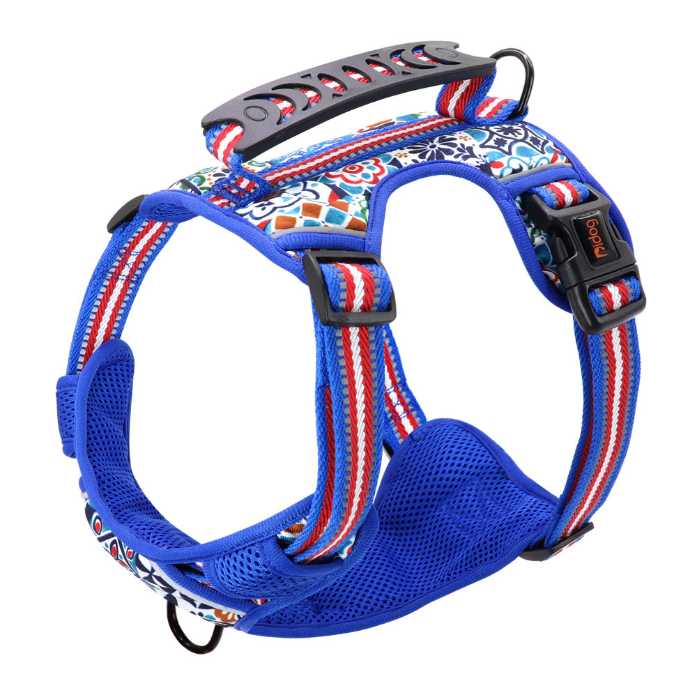 Adjustable Pet Leash and Chest Harness