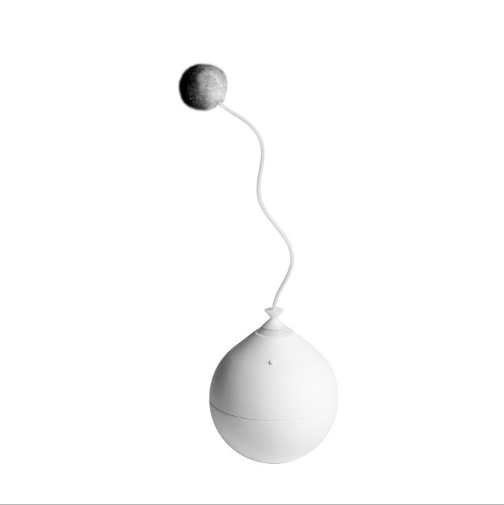 Funny Electric Interactive Pet Toy For Play And Entertainment