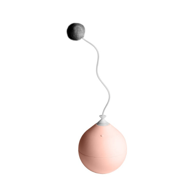 Funny Electric Interactive Pet Toy For Play And Entertainment