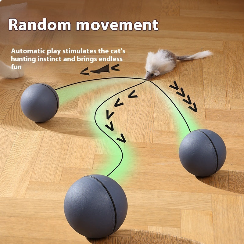 Electric Moving Mouse Teaser Ball Interactive Pet Toy