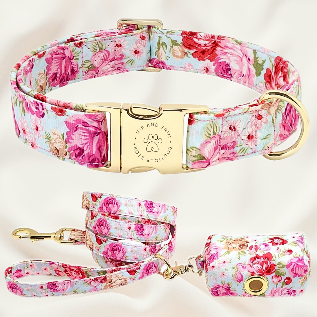 Custom Pet Collar With Engraved ID Tag And Lettering