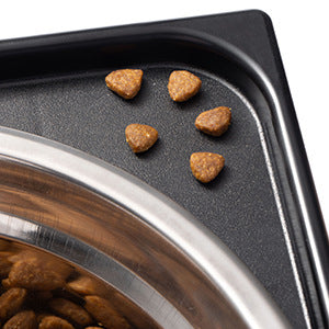 Elevated Anti Spill Pet Feeding Bowl For Medium Large Pets