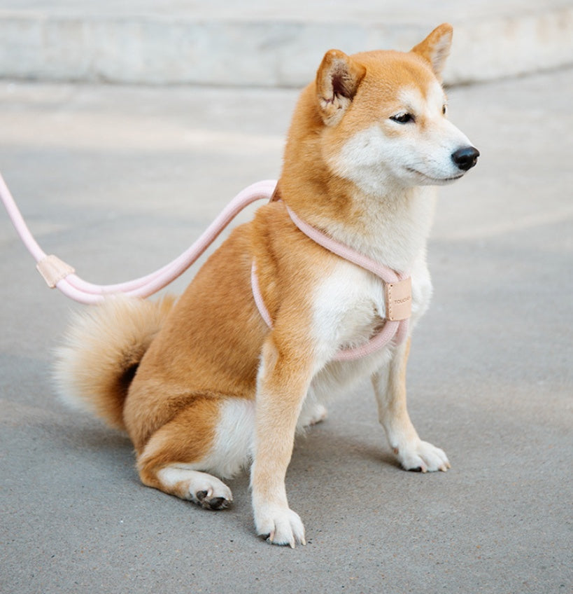 Dual Purpose Round Rope Pet Leash With Integrated Design