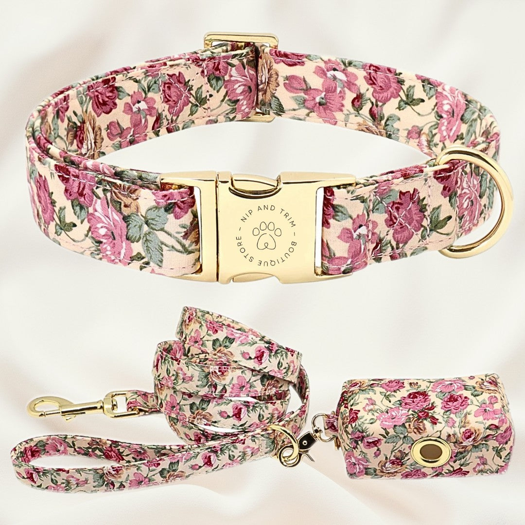 Custom Pet Collar With Engraved ID Tag And Lettering