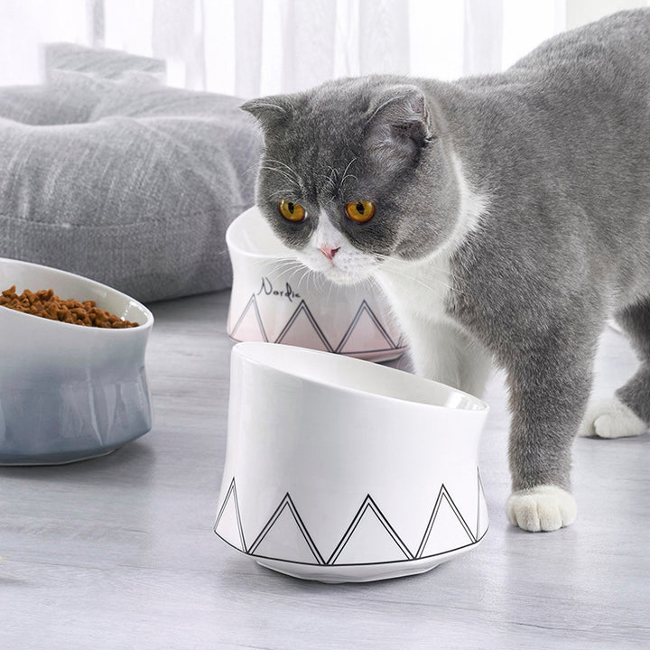 Ceramic Pet Feeding Bowl For Everyday Use