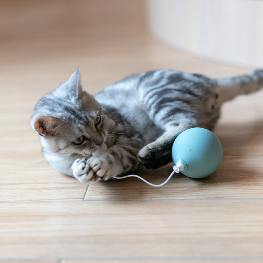 Funny Electric Interactive Pet Toy For Play And Entertainment